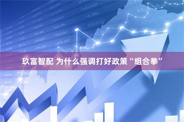 玖富智配 为什么强调打好政策“组合拳”