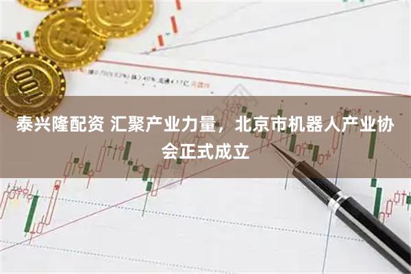泰兴隆配资 汇聚产业力量，北京市机器人产业协会正式成立